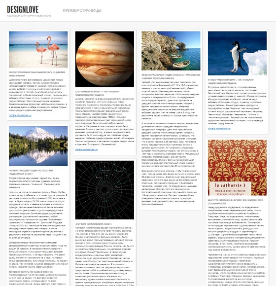 Shaken Grid Free Shaken Grid Free